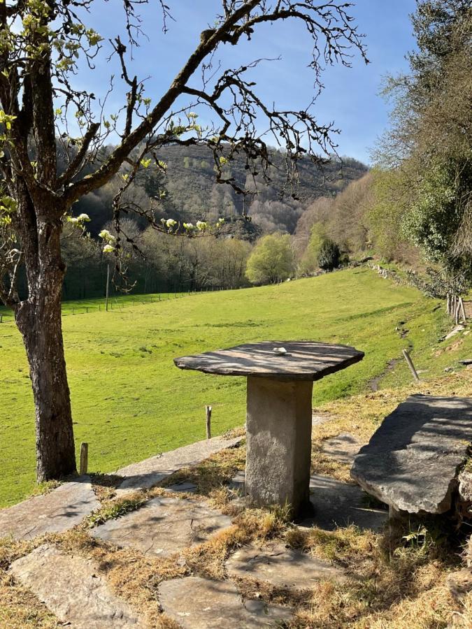 Casa Freixe Apartamentos Rurales Santa Eulalia de Oscos Bagian luar foto